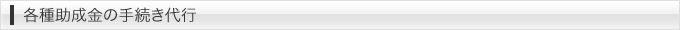 各種助成金の手続き代行