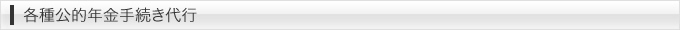 各種公的年金手続き代行