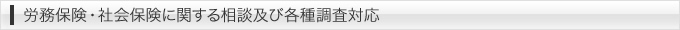 労務保険・社会保険に関する相談及び各種調査対応
