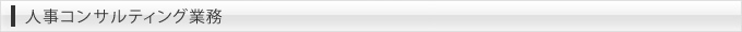 人事コンサルティング業務